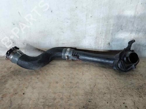 Pipe RENAULT SCÉNIC III (JZ0/1_)  | BP29748735M125 