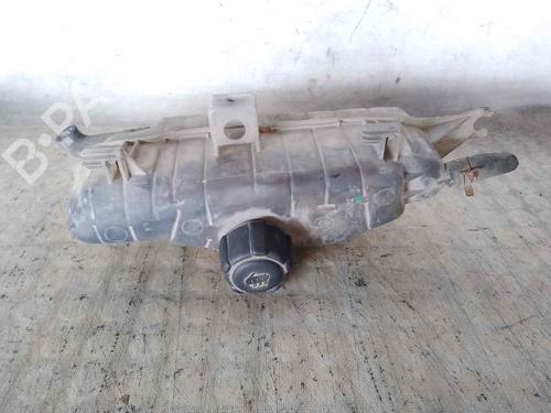 Expansion tank RENAULT CLIO III (BR0/1, CR0/1)  | BP27039306C120 