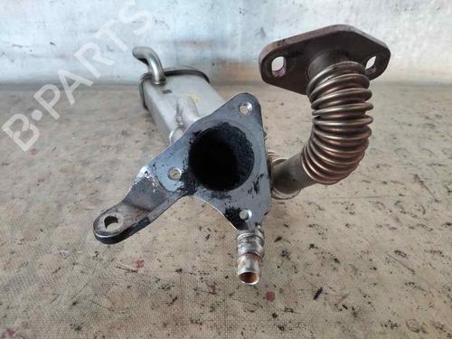 Egr RENAULT CLIO IV (BH_) | BP30153839M69