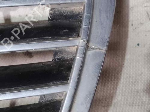 Grille MERCEDES-BENZ E-CLASS (W211) E 270 CDI (211.016) | BP26480918C40 