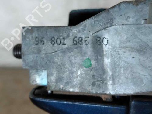 Rear left exterior door handle PEUGEOT 207 (WA_, WC_)  | BP29903017C130