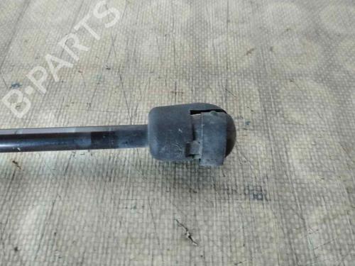 Tailgate lift support NISSAN MICRA III (K12)  | BP26467255C138