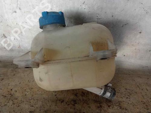 Expansion tank FIAT DOBLO Cargo (263_) 1.3 D Multijet | BP30280395C120