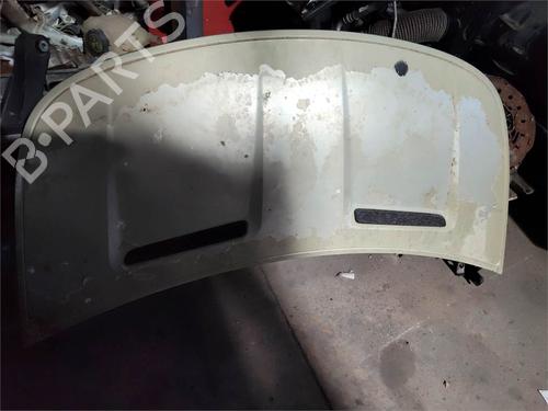 hood-smart-forfour-454-2004-2005-2006-28470398 main image