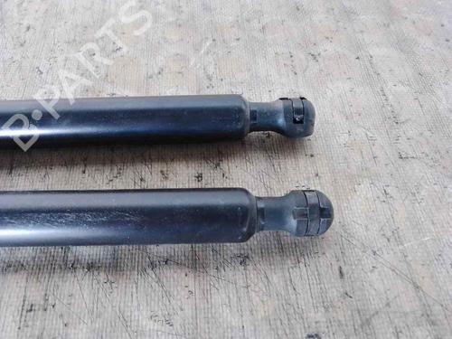 Gassdemper Bakluke DACIA LODGY (JS_)  | BP29530416C138 
