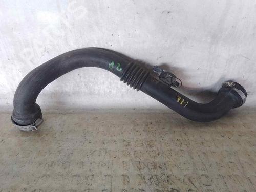Used Pipe RENAULT SCÉNIC II (JM0/1_) [2003-2010]  28428311