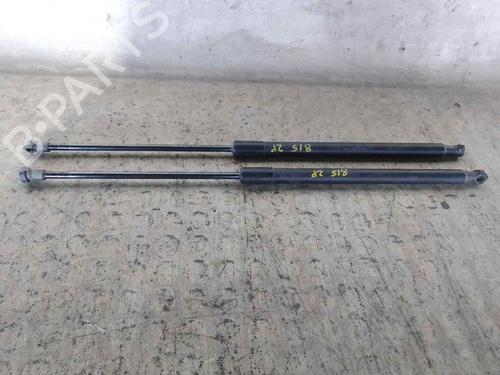 Gassdemper Bakluke NISSAN QASHQAI / QASHQAI +2 I (J10, NJ10, JJ10E) [2006-2014]  26472438