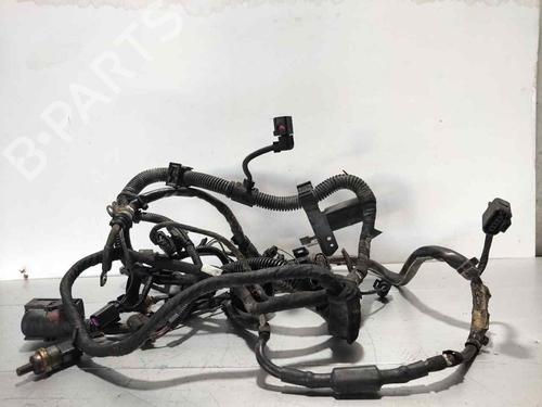 BP32446449O1 main image