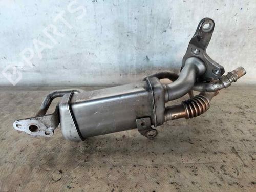 Egr RENAULT CLIO IV (BH_) | BP30153839M69