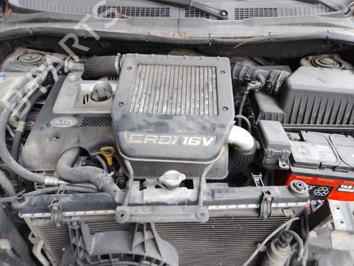 Used Starter KIA CARENS II MPV (FJ) [2002-2013]  28465674