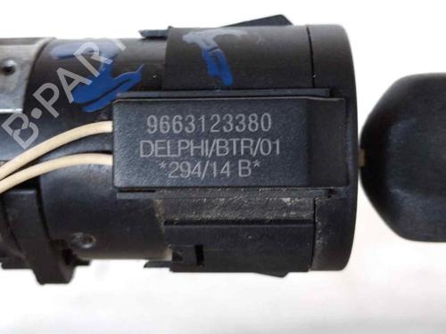 Ignition barrel PEUGEOT 308 II (LB_, LP_, LW_, LH_, L3_)  | BP26469841M48 