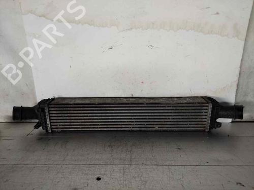 Used Intercooler Intercooler AUDI A5 (8T3) 2.0 TDI (170 hp) 32699889 32699889