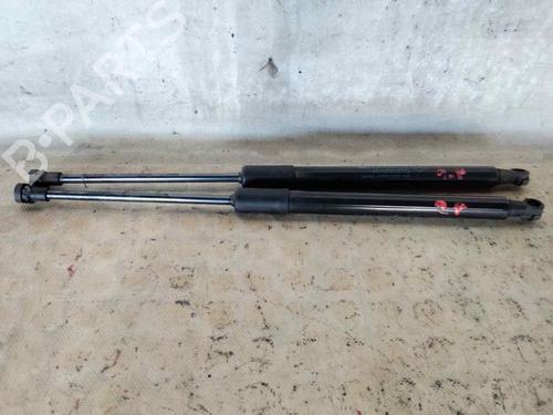 Gassdemper Bakluke DACIA DUSTER (HM_)  | BP29825134C138