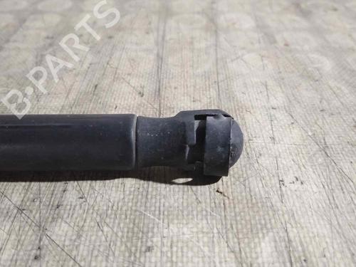 Tailgate lift support NISSAN MICRA III (K12)  | BP26467256C138 