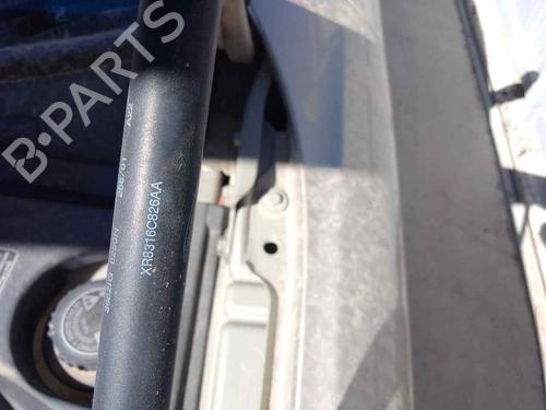 Hood lift support JAGUAR S-TYPE II (X200) 3.0 V6 | BP28455038C139