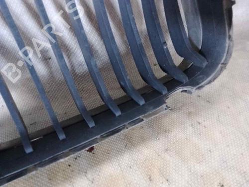 Grille BMW 3 (E46) 320 d | BP29331533C40 