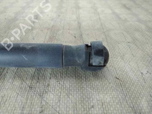 Tailgate lift support NISSAN MICRA III (K12)  | BP26467255C138