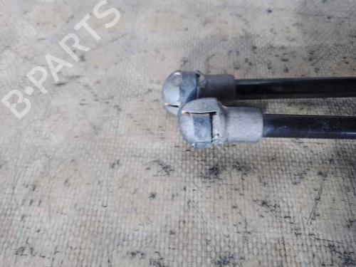 Tailgate lift support NISSAN QASHQAI / QASHQAI +2 I (J10, NJ10, JJ10E)  | BP26472438C138 