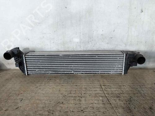 Intercooler RENAULT ESPACE IV (JK0/1_) 2.0 dCi (JK01, JK02, JK1J, JK1K, JK1H) (150 hp) 29943067