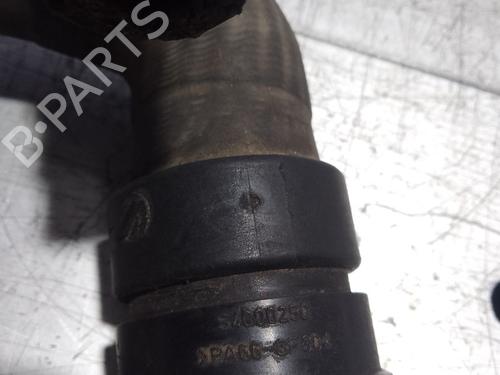 Pipe LAND ROVER FREELANDER 2 (L359) | BP36110559M125 - Image 2