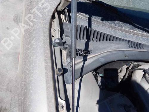 Hood lift support JAGUAR S-TYPE II (X200) 3.0 V6 | BP28455038C139