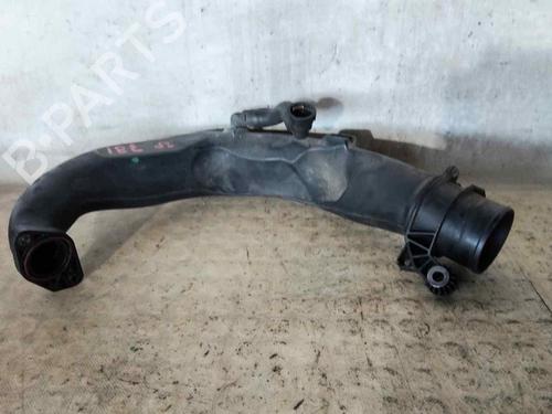 Pipe RENAULT SCÉNIC III (JZ0/1_)  | BP29748736M125