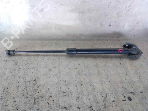 Used Hood lift support VW CADDY III Box Body/MPV (2KA, 2KH, 2CA, 2CH) [2004-2016]  26468801