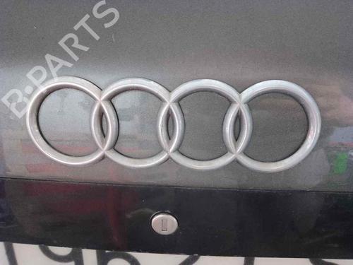 Bränslepump AUDI A6 C5 Avant (4B5, 4B6) 2.5 TDI (180 hp) 28452336