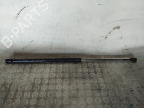 Motorhaubendämpfer für RENAULT SCÉNIC I MPV (JA0/1_, FA0_) 1.9 dTi (JA0N) (98 hp) 28123236