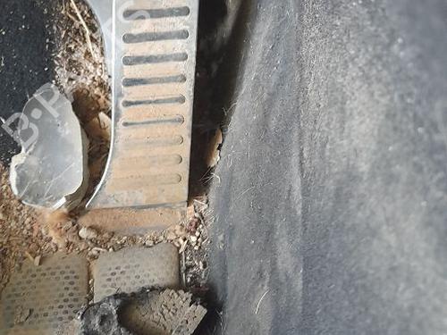Pedal Pedal SKODA OCTAVIA II (1Z3) 2.0 TDI (140 hp) 33817447 33817447