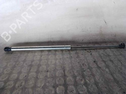 Used Hood lift support VW GOLF IV (1J1) [1997-2008]  26467144