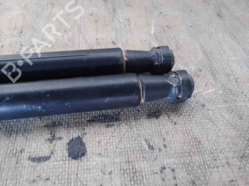 Tailgate lift support NISSAN QASHQAI / QASHQAI +2 I (J10, NJ10, JJ10E)  | BP26472438C138 