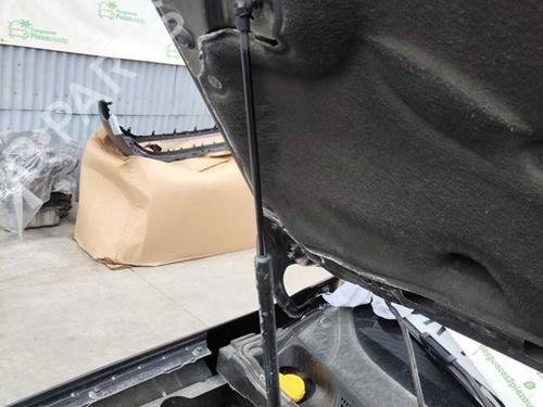 Hood lift support DACIA DUSTER (HM_)  | BP29590871C139 