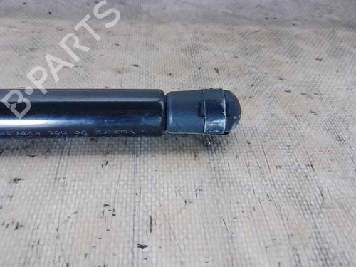 Hood lift support VW GOLF V (1K1)  | BP26468466C139 