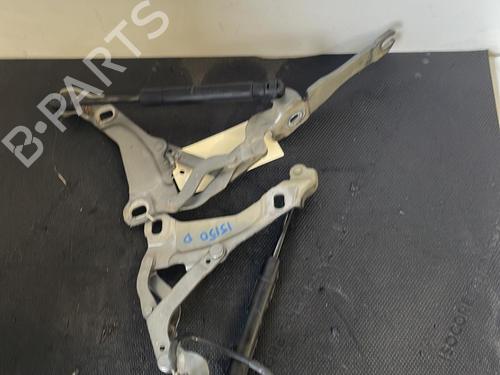 Hinge/Door check strap MINI MINI (R56) Cooper S | BP26422436C146