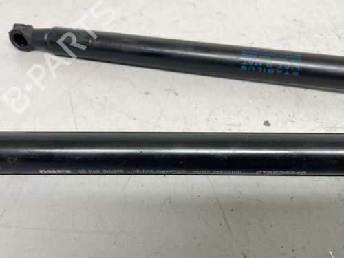 tailgate-lift-support-citroen-c4-cactus-2014-30083074 main image