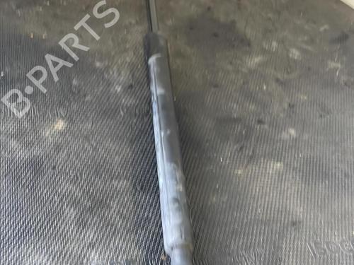 Hood lift support DACIA LODGY (JS_) 1.2 TCe (JSAY, JSM0) | BP26416994C139 