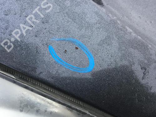 Hood PEUGEOT 1007 (KM_) 1.4 HDi | BP30176993C1 