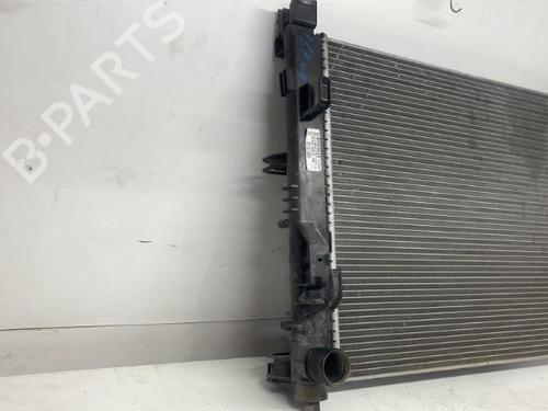 Køler DACIA DOKKER Box Body/MPV 1.6 (83 hp) 26416431