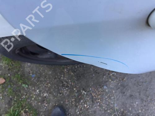 Right rear door RENAULT SCÉNIC III (JZ0/1_) 1.5 dCi | BP29854114C5