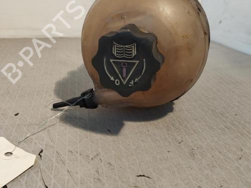 Used Expansion tank PEUGEOT 206 Hatchback (2A/C) 1.4 i (75 hp) 26427567