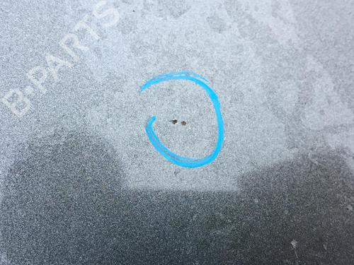 Hood PEUGEOT 1007 (KM_) 1.4 HDi | BP30176993C1 