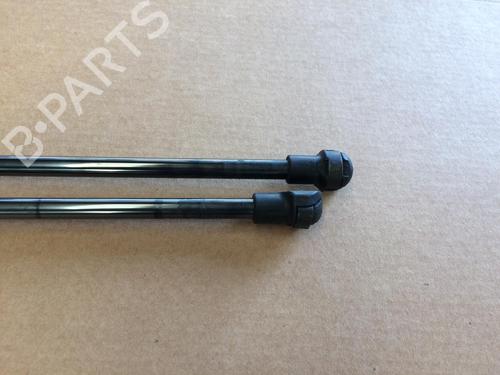 tailgate-lift-support-fiat-500-312_-2007-28175599 main image