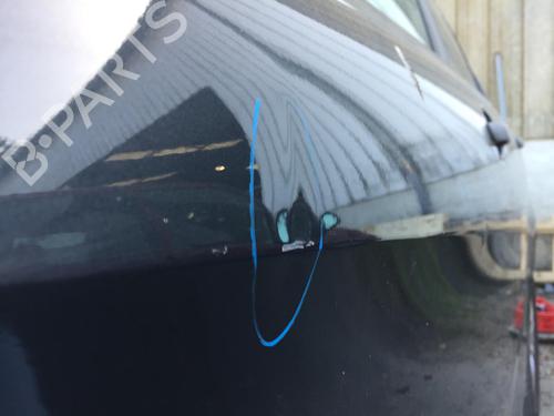 Left front door SEAT ALTEA (5P1) 1.9 TDI | BP29618733C2 
