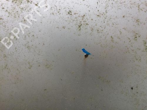 Tailgate AUDI A3 (8L1) 1.9 TDI | BP28613052C6