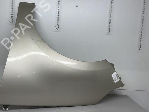 Left front fenders RENAULT GRAND SCÉNIC III (JZ0/1_) 1.5 dCi (JZ09, JZ0D, JZ10, JZ14, JZ1G, JZ29, JZ2C) | BP26420284C41 