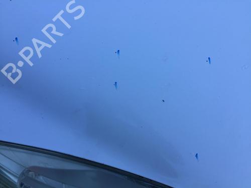 Hood RENAULT SCÉNIC III (JZ0/1_) 1.5 dCi | BP29854105C1