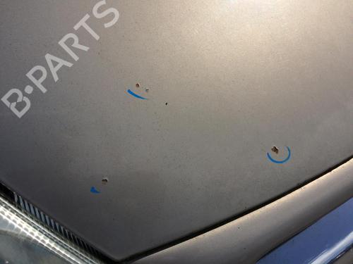 Hood CITROËN C8 (EA_, EB_) 2.0 HDi 165 | BP29008898C1 