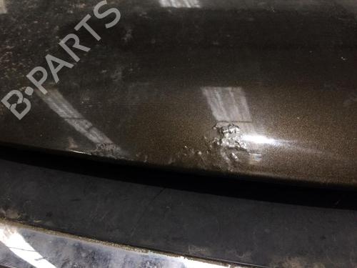Hood CITROËN C4 II (NC_) 1.6 VTi 120 (NC5FS0, NC5FS9) | BP29326858C1 