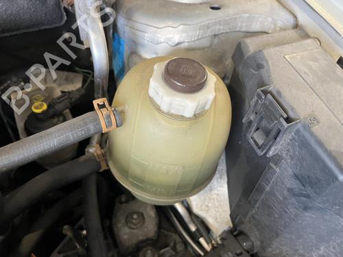 Used Expansion tank RENAULT MEGANE I (BA0/1_) 1.6 16V (BA04, BA0B, BA11, BA1J, BA16, BA19, BA1K, BA1V,... (107 hp) 31017544